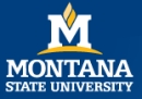 Montana State University logo