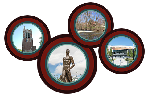 MSU Campus Sites